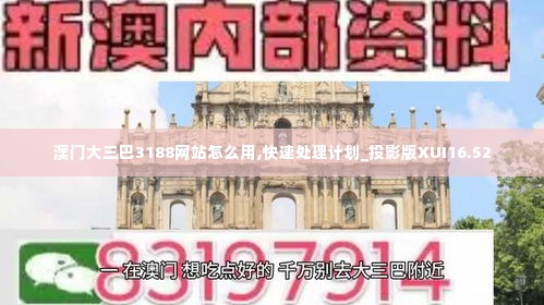 澳门大三巴3188网站怎么用,快速处理计划_投影版XUI16.52