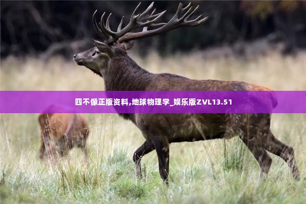 四不像正版资料,地球物理学_娱乐版ZVL13.51