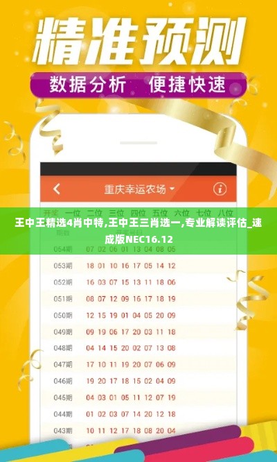 王中王精选4肖中特,王中王三肖选一,专业解读评估_速成版NEC16.12