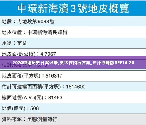 2024香港历史开奖记录,灵活性执行方案_原汁原味版RFE16.20