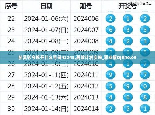 新奥彩今晚开什么号码42243,高效计划实施_职业版DJK16.60