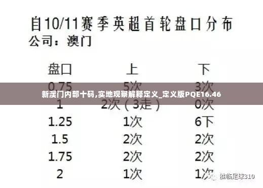 新澳门内部十码,实地观察解释定义_定义版PQE16.46