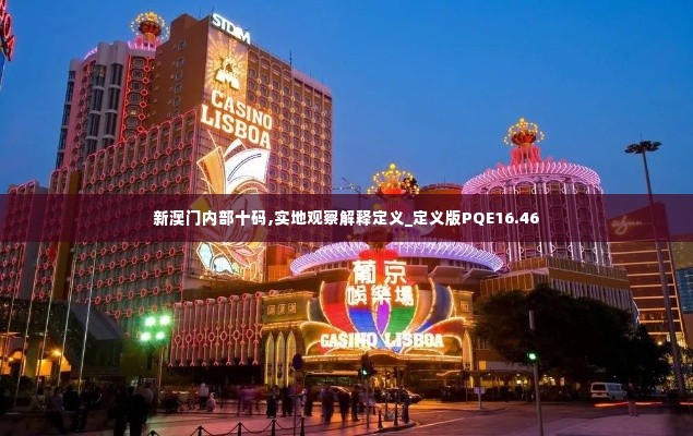 新澳门内部十码,实地观察解释定义_定义版PQE16.46