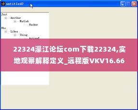 22324濠江论坛com下载22324,实地观察解释定义_远程版VKV16.66