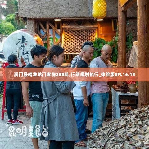 澳门最精准龙门客栈288期,行动规划执行_体验版EFL16.18