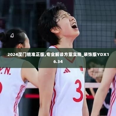 2024澳门精准正版,专业解读方案实施_装饰版YDX16.34