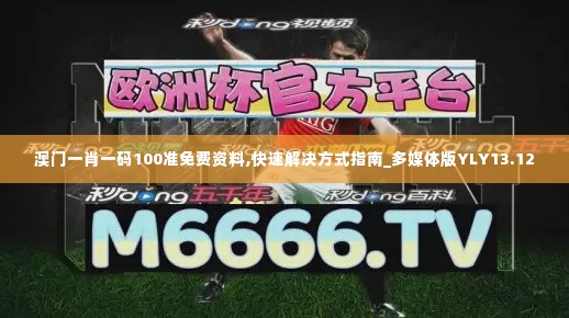 澳门一肖一码100准免费资料,快速解决方式指南_多媒体版YLY13.12