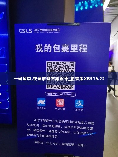 一码包中,快速解答方案设计_便携版XBS16.22