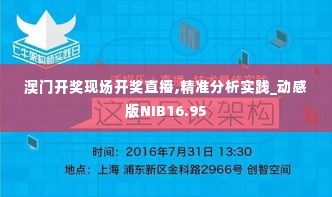 澳门开奖现场开奖直播,精准分析实践_动感版NIB16.95