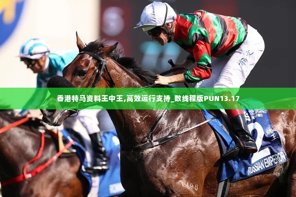香港特马资料王中王,高效运行支持_数线程版PUN13.17