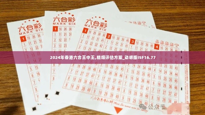 2024年香港六合王中王,精细评估方案_动感版ISF16.77