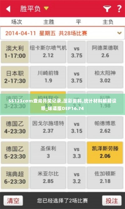 55123cσm查询开奖记录,澳彩资料,统计材料解释设想_味道版DEP16.74