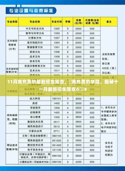 揭秘南充黑豹学院最新招生简章，十一月报名指南
