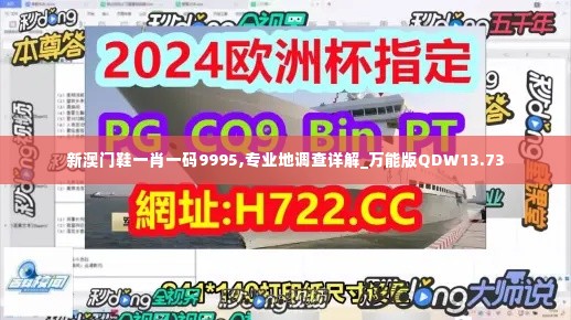 新澳门鞋一肖一码9995,专业地调查详解_万能版QDW13.73