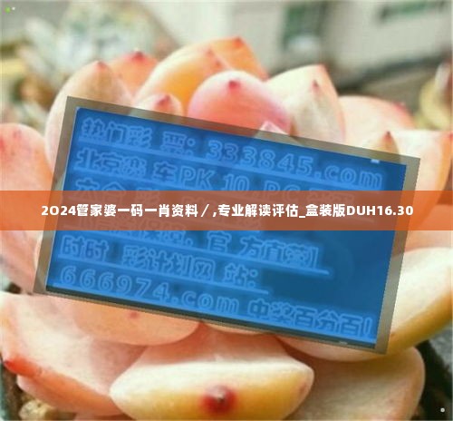 2O24管家婆一码一肖资料/,专业解读评估_盒装版DUH16.30
