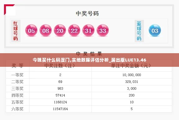 今晚买什么码澳门,实地数据评估分析_漏出版LUE13.46
