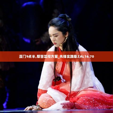 澳门9点半,智慧监控方案_先锋实践版ZAL16.70