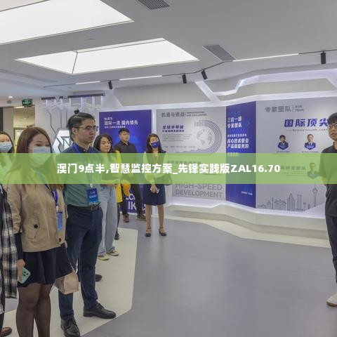 澳门9点半,智慧监控方案_先锋实践版ZAL16.70