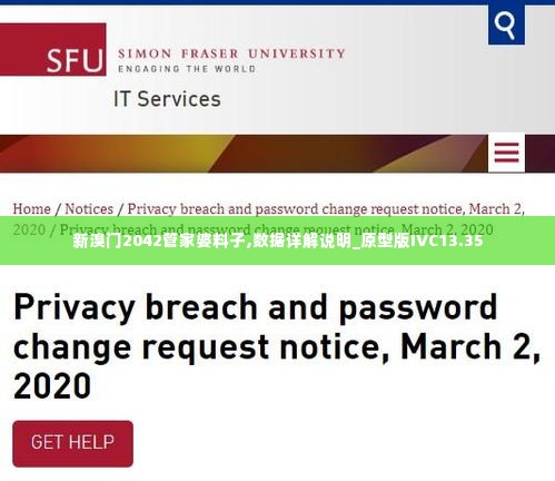 新溴门2042管家婆料子,数据详解说明_原型版IVC13.35