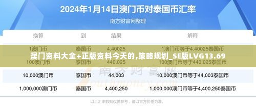 澳门资料大全+正版资料今天的,策略规划_SE版LVG13.69