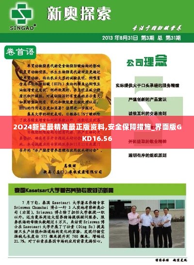 2O24新奥最精准最正版资料,安全保障措施_界面版GKD16.56