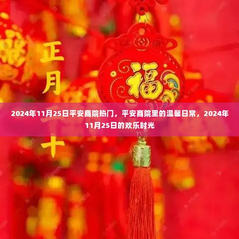 平安商院温馨日常,欢乐时光在2024年11月25日