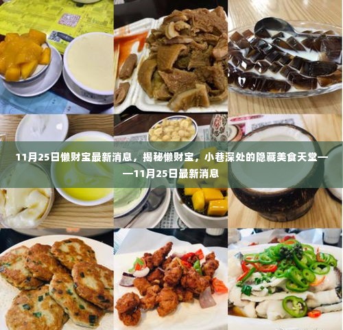 懒财宝美食天堂揭秘,小巷深处的隐藏美食天堂最新消息(11月25日)