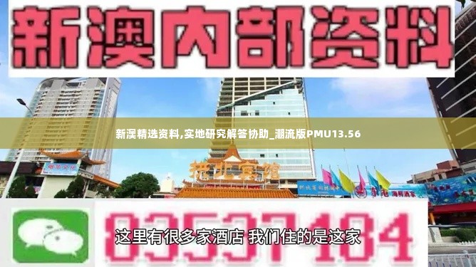 新澳精选资料,实地研究解答协助_潮流版PMU13.56