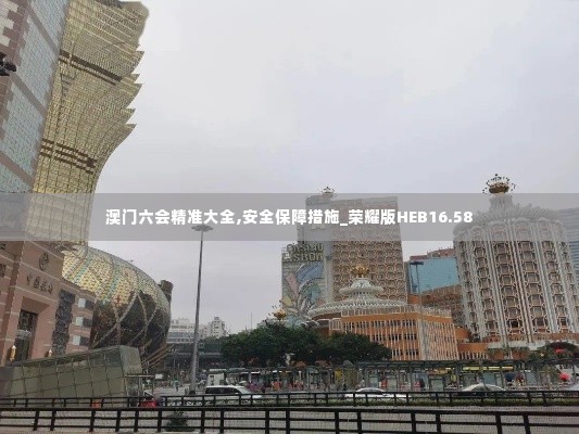 澳门六会精准大全,安全保障措施_荣耀版HEB16.58