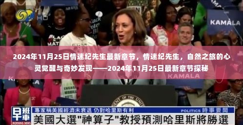 情迷纪先生,心灵自然之旅的探秘与最新章节揭秘