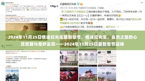 情迷纪先生,心灵自然之旅的探秘与最新章节揭秘