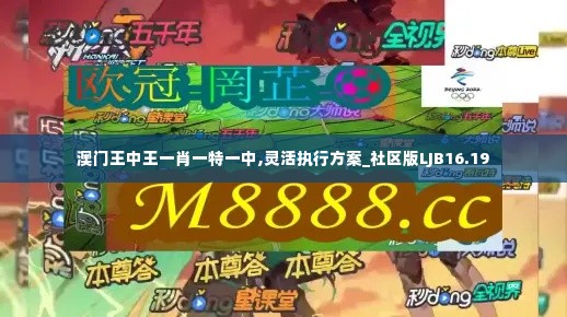 澳门王中王一肖一特一中,灵活执行方案_社区版LJB16.19