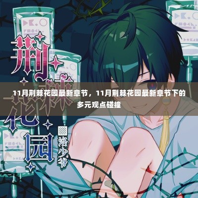 最新章节下的多元观点碰撞,11月荆棘花园热议