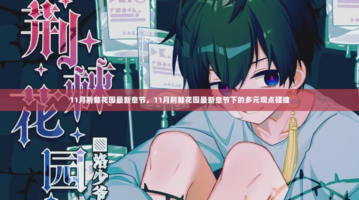 最新章节下的多元观点碰撞,11月荆棘花园热议