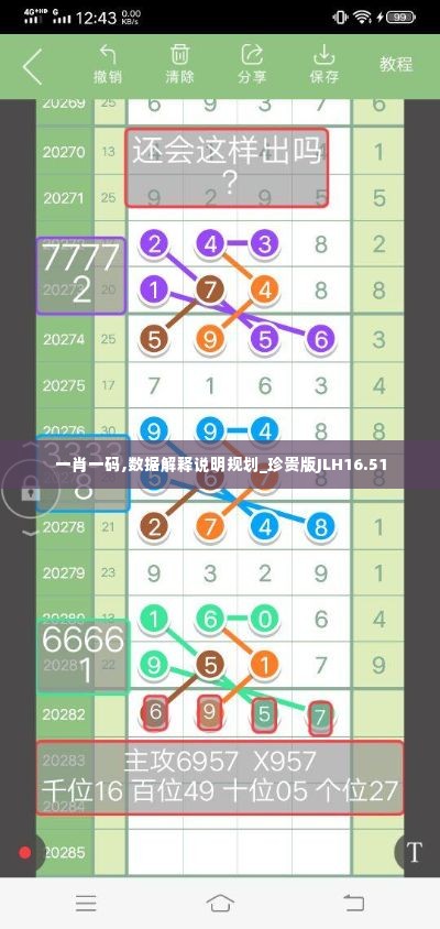 一肖一码,数据解释说明规划_珍贵版JLH16.51