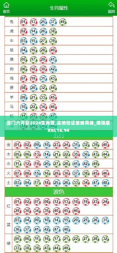 澳门六开彩2024生肖图,实地验证策略具体_增强版XRL16.94