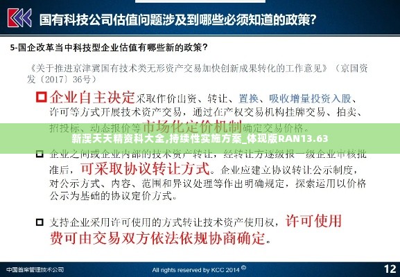 新澳天天精资科大全,持续性实施方案_体现版RAN13.63