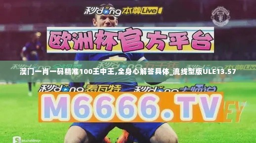 澳门一肖一码精准100王中王,全身心解答具体_流线型版ULE13.57