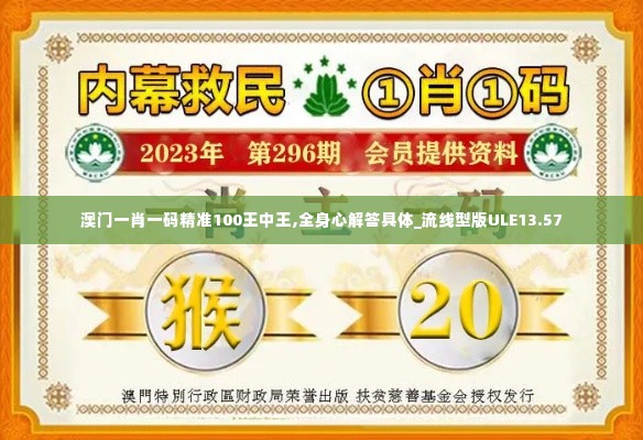 澳门一肖一码精准100王中王,全身心解答具体_流线型版ULE13.57