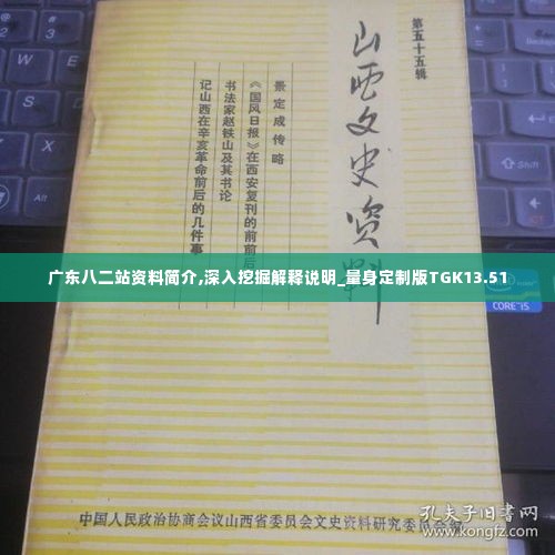 广东八二站资料简介,深入挖掘解释说明_量身定制版TGK13.51