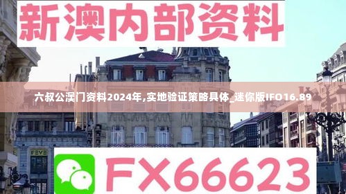 六叔公澳门资料2024年,实地验证策略具体_迷你版IFO16.89