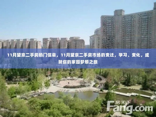 11月望京二手房市场变迁,热门信息一览,开启家园梦想之旅