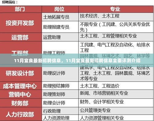 11月宜良最新招聘信息全解析,全面评测介绍
