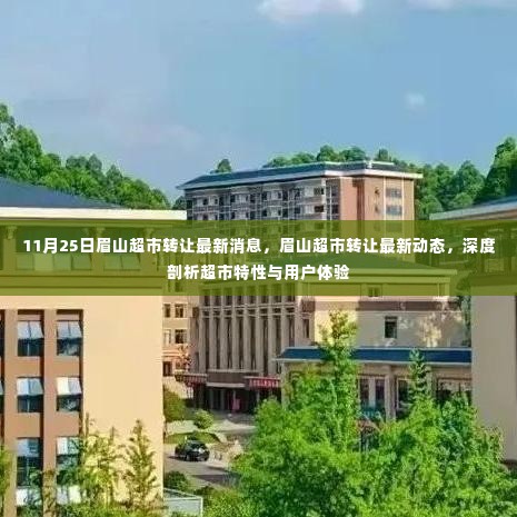 眉山超市转让最新动态,深度解析超市特性与用户体验提升之道