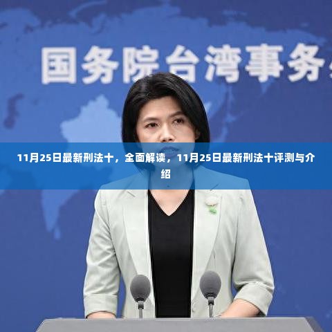 最新刑法十评测与介绍,全面解读新法规内容及其影响