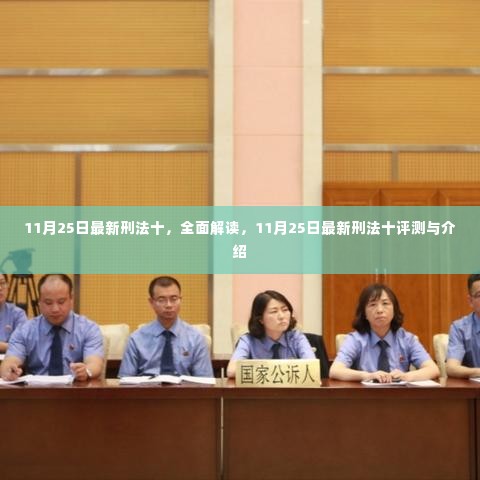 最新刑法十评测与介绍,全面解读新法规内容及其影响