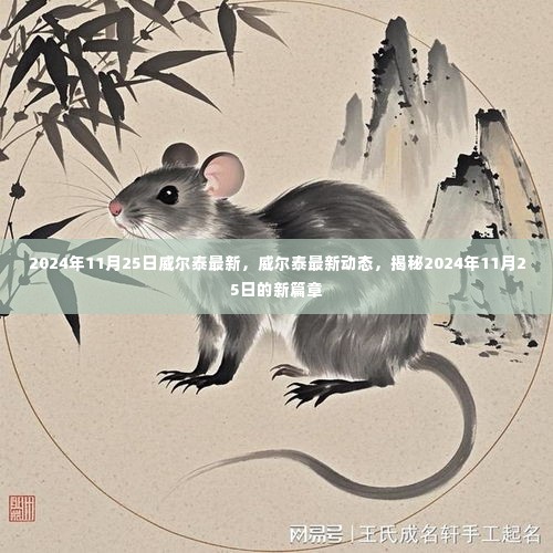 揭秘威尔泰最新动态,2024年11月25日新篇章揭晓