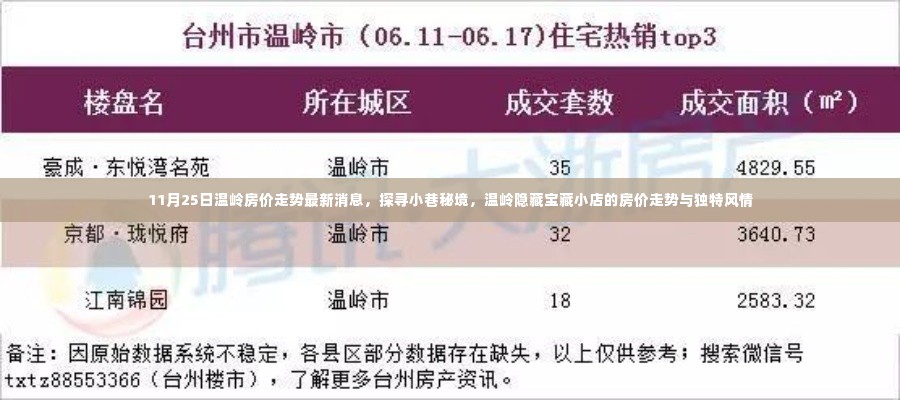温岭房价走势揭秘,小巷秘境与宝藏小店的独特风情