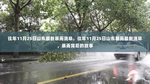 往年11月25日山东暴雨最新消息及其背后的故事揭秘