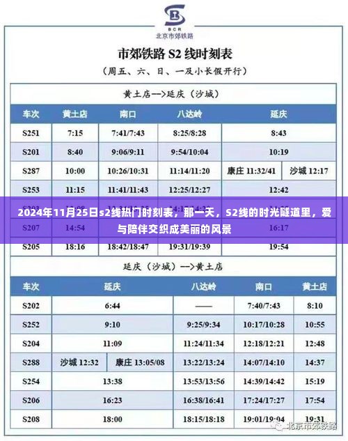 S2线时光隧道,爱与陪伴交织的风景——2024年11月25日热门时刻表